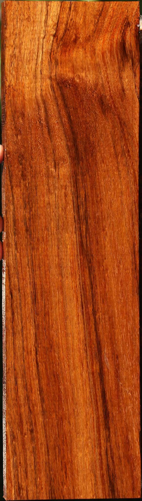 Tzalam Lumber