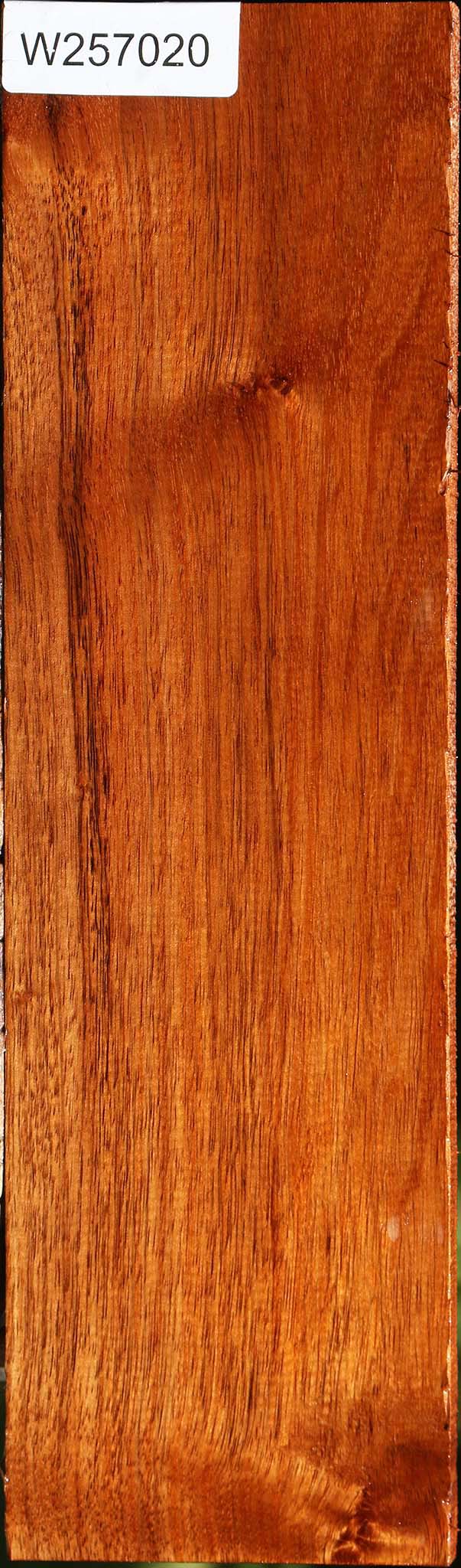 Tzalam Lumber