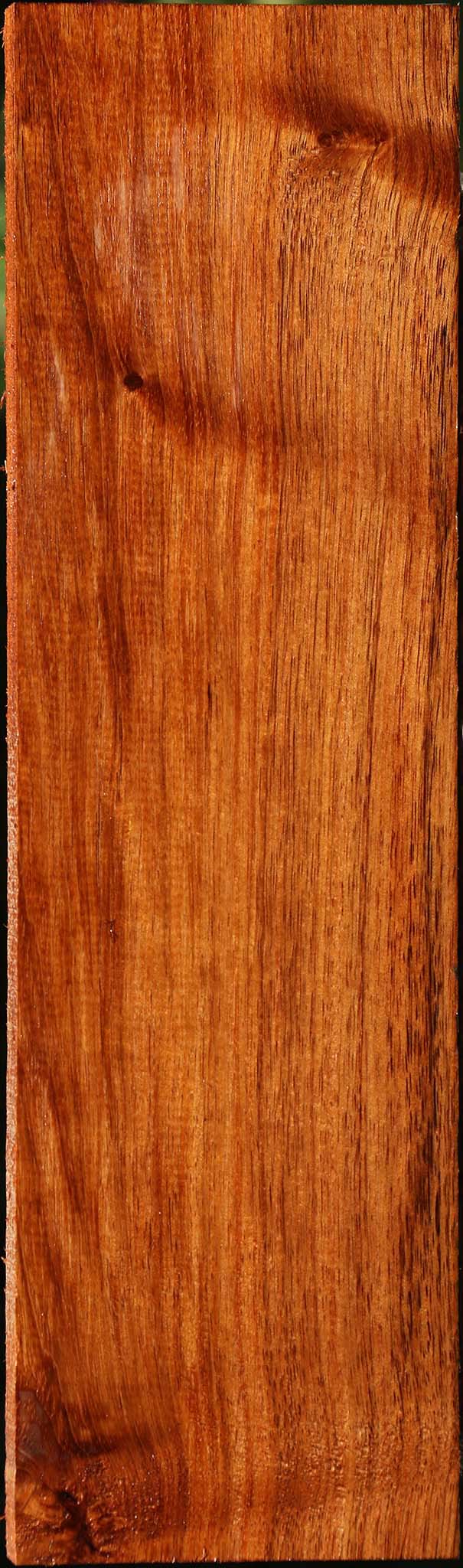 Tzalam Lumber