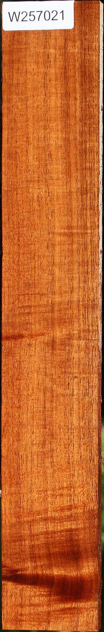 Extra Fancy Tzalam Lumber