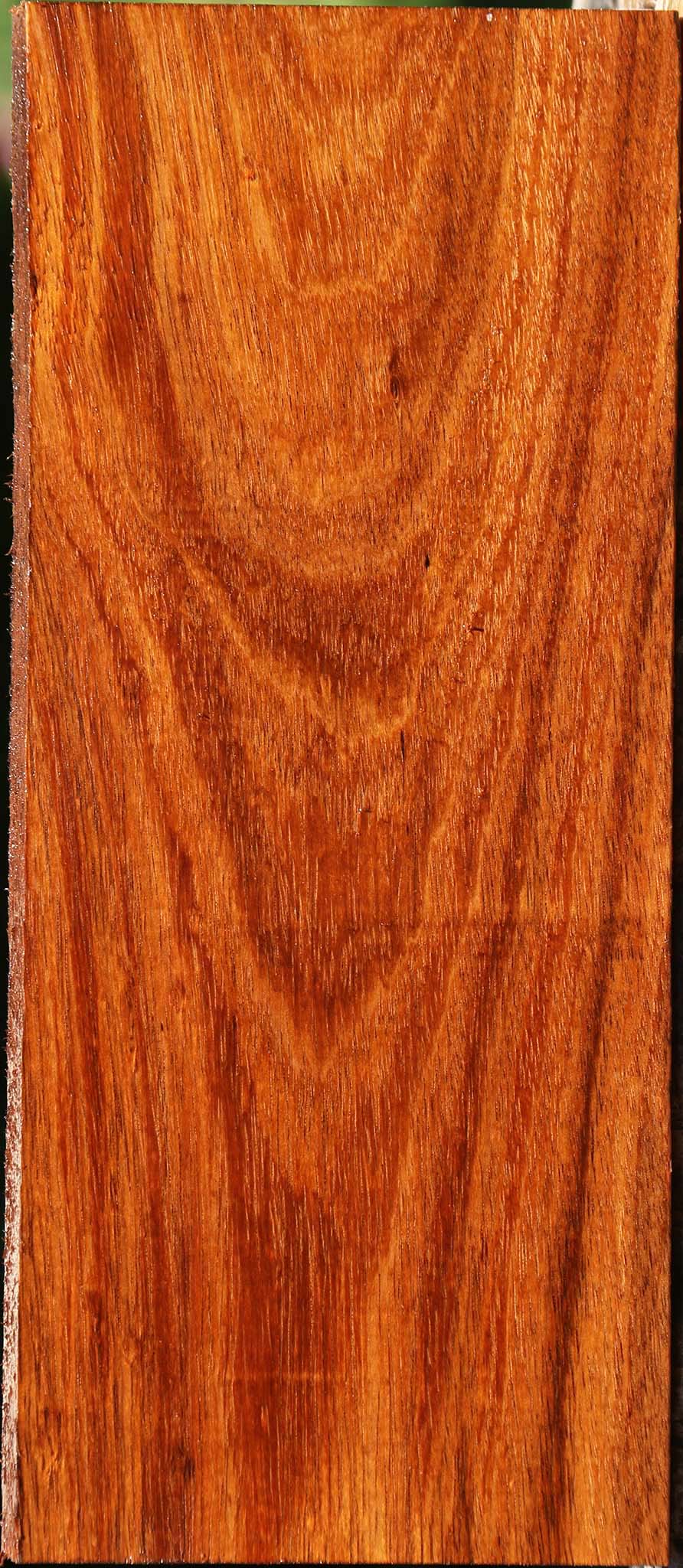 Tzalam Lumber