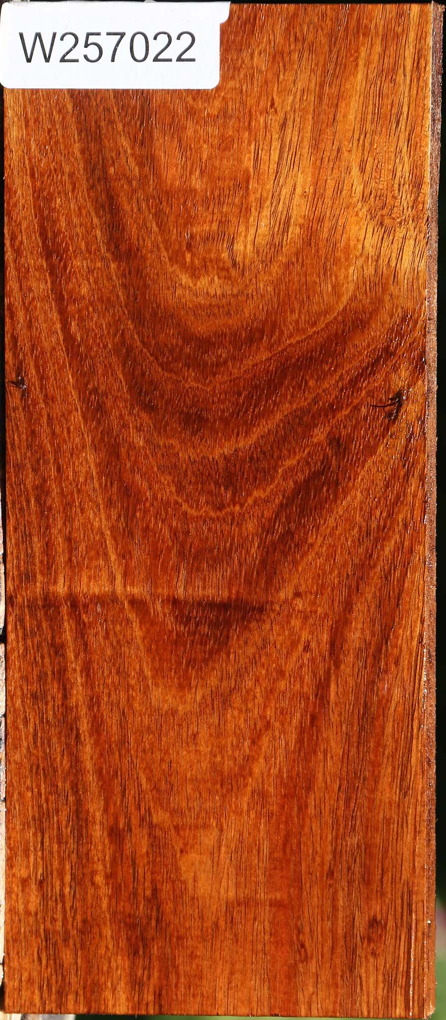 Tzalam Lumber