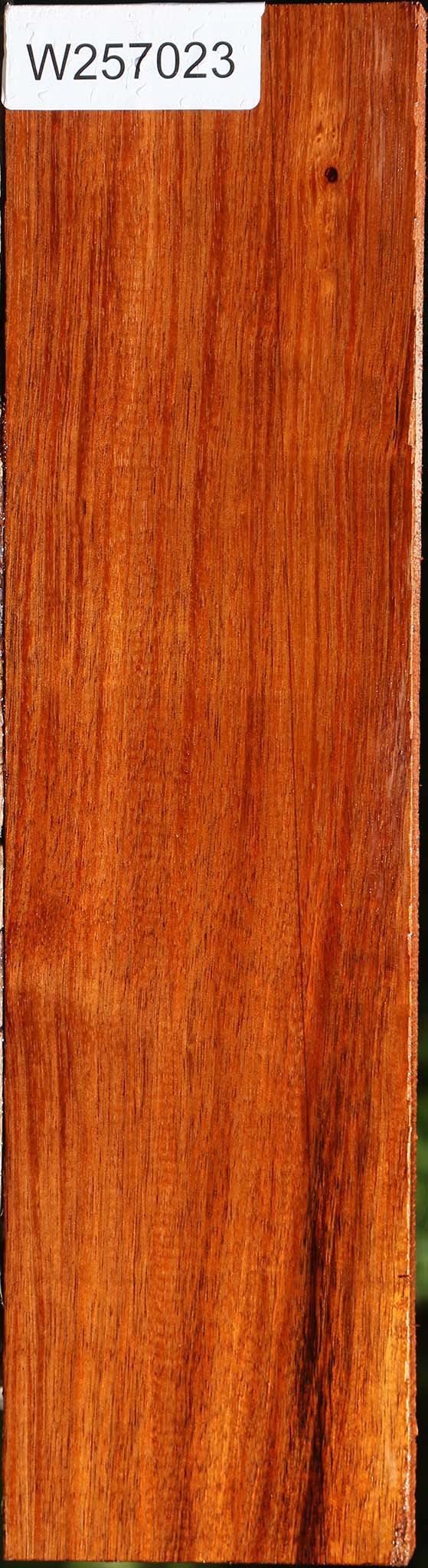 Tzalam Lumber