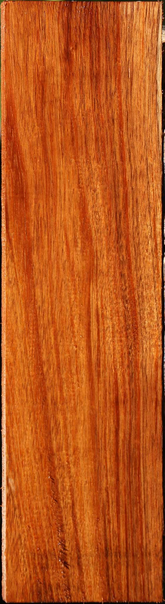 Tzalam Lumber