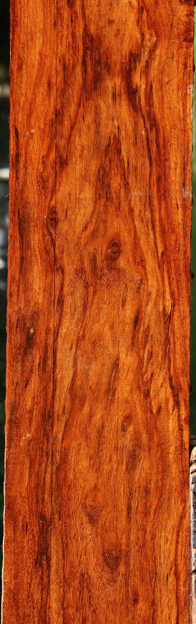 Extra Fancy Granadillo Lumber