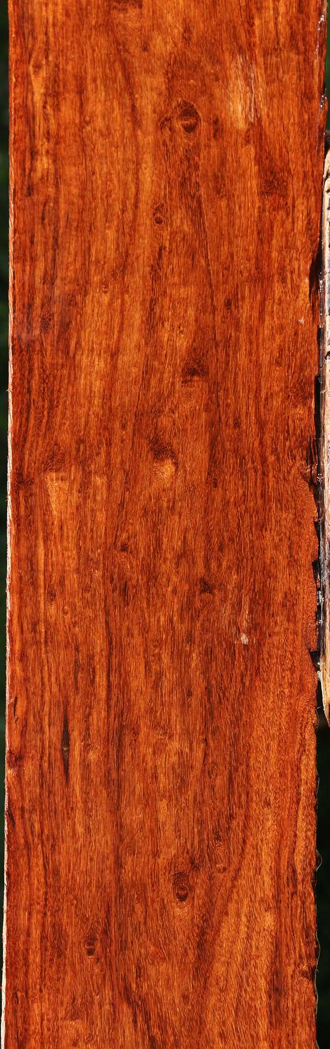 Extra Fancy Granadillo Lumber