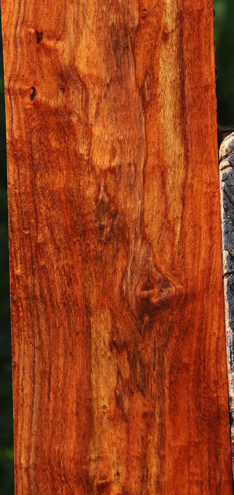 Extra Fancy Granadillo Lumber