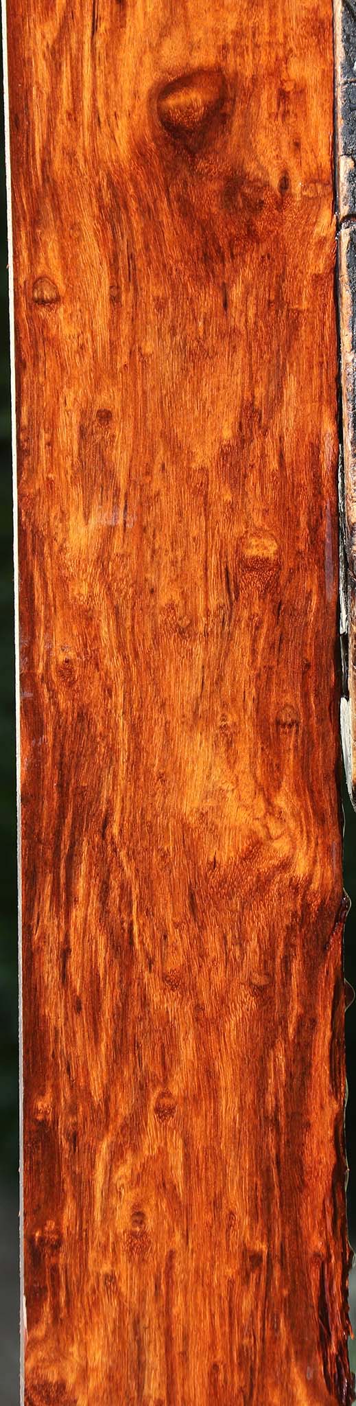 Extra Fancy Granadillo Lumber
