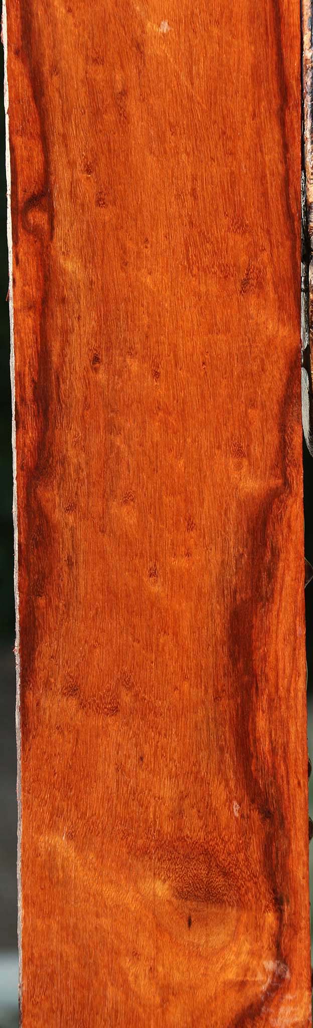 Extra Fancy Granadillo Lumber