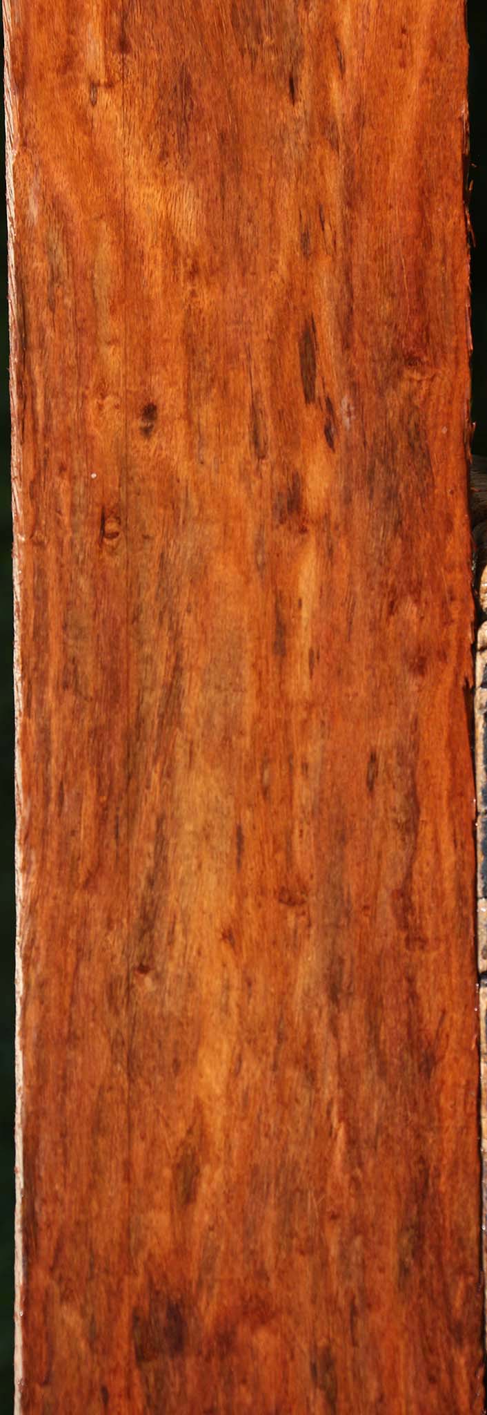 Extra Fancy Granadillo Lumber