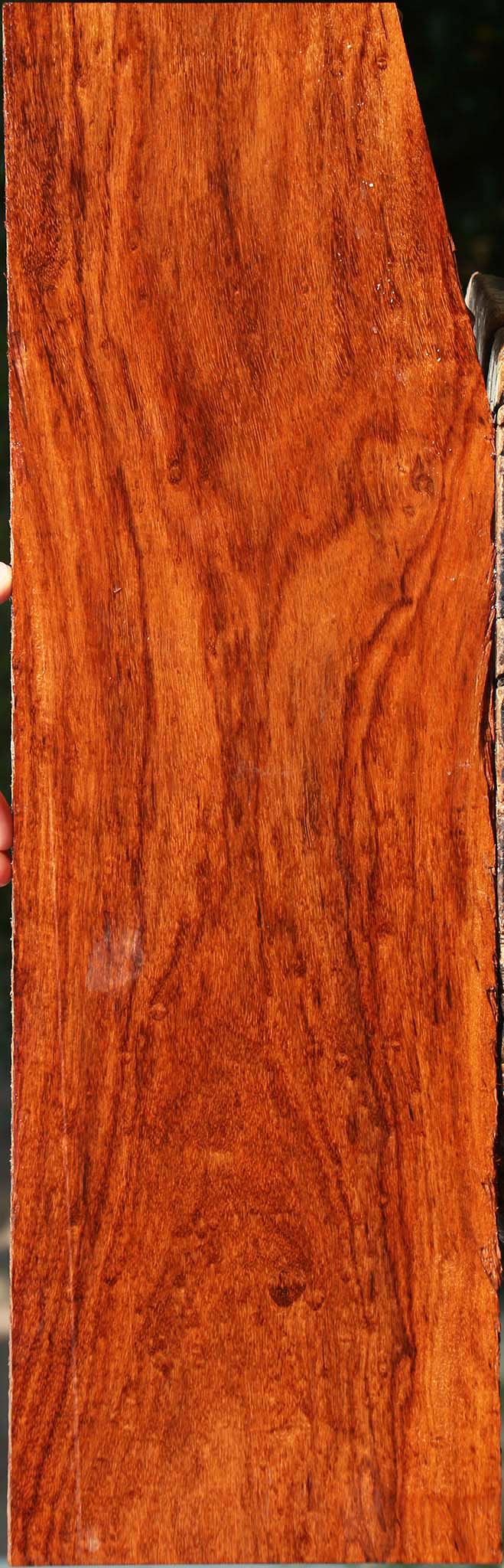 Extra Fancy Granadillo Lumber