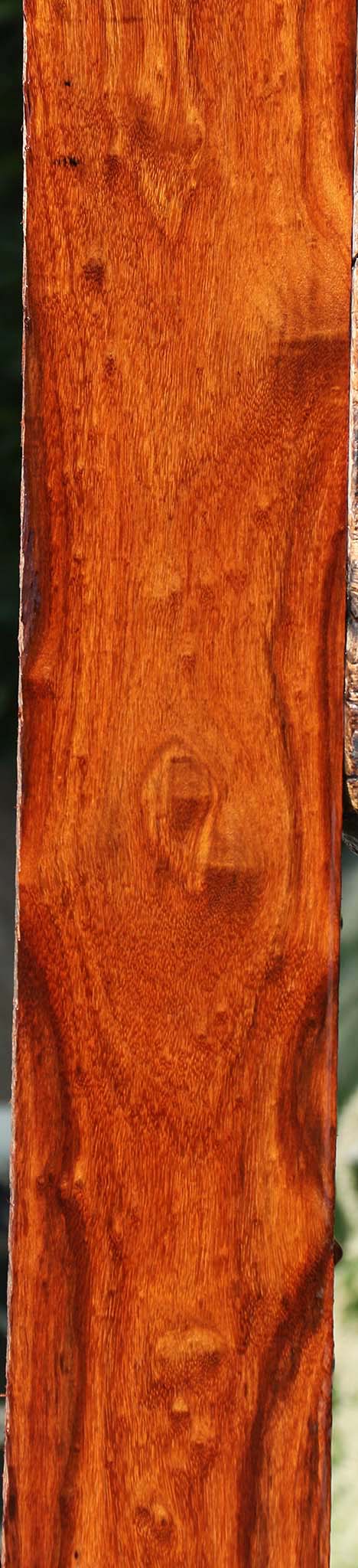 Extra Fancy Granadillo Lumber