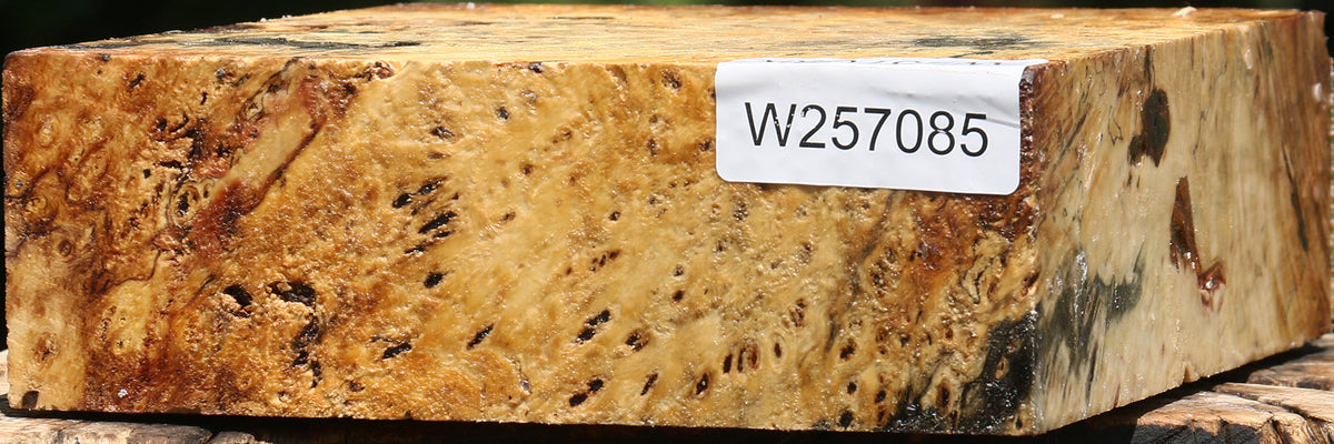 Buckeye Burl Bowl Blank