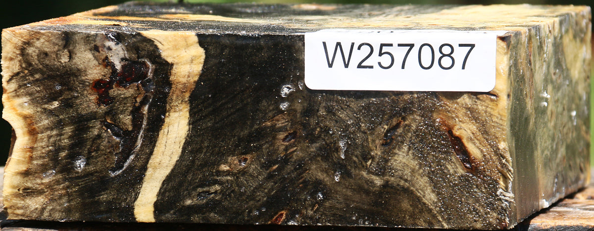 Buckeye Burl Bowl Blank