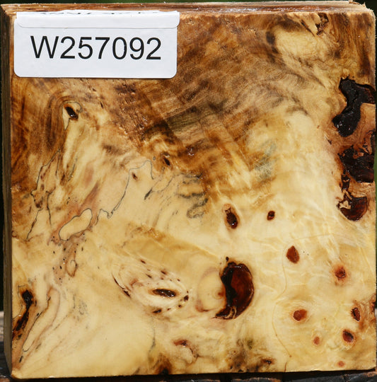 Buckeye Burl Bowl Blank