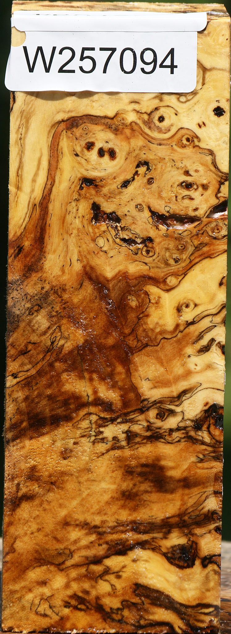 Buckeye Burl Turning Square