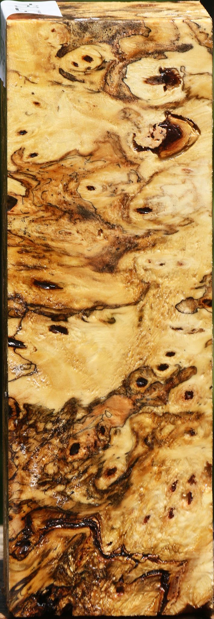 Buckeye Burl Turning Square