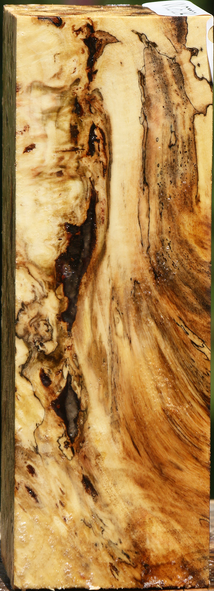 Buckeye Burl Turning Square