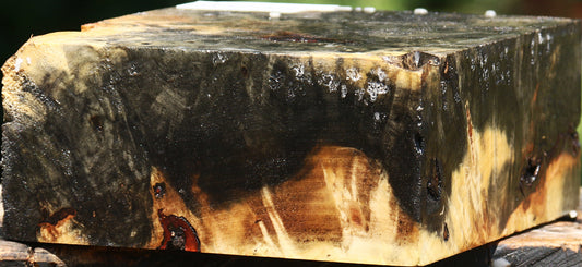 Buckeye Burl Bowl Blank