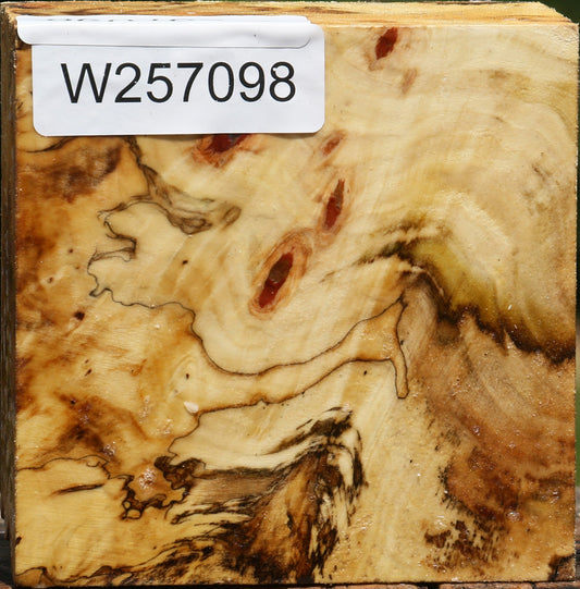 Buckeye Burl Bowl Blank