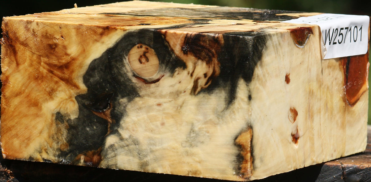 Buckeye Burl Bowl Blank
