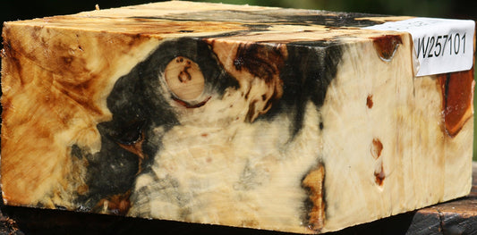 Buckeye Burl Bowl Blank