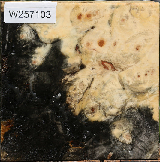 Buckeye Burl Bowl Blank