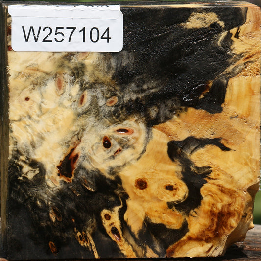 Buckeye Burl Bowl Blank