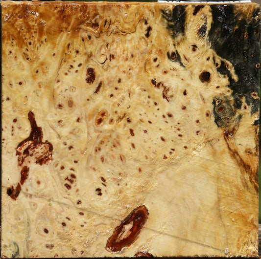 Buckeye Burl Bowl Blank