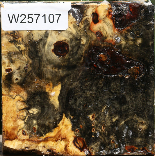 Buckeye Burl Bowl Blank