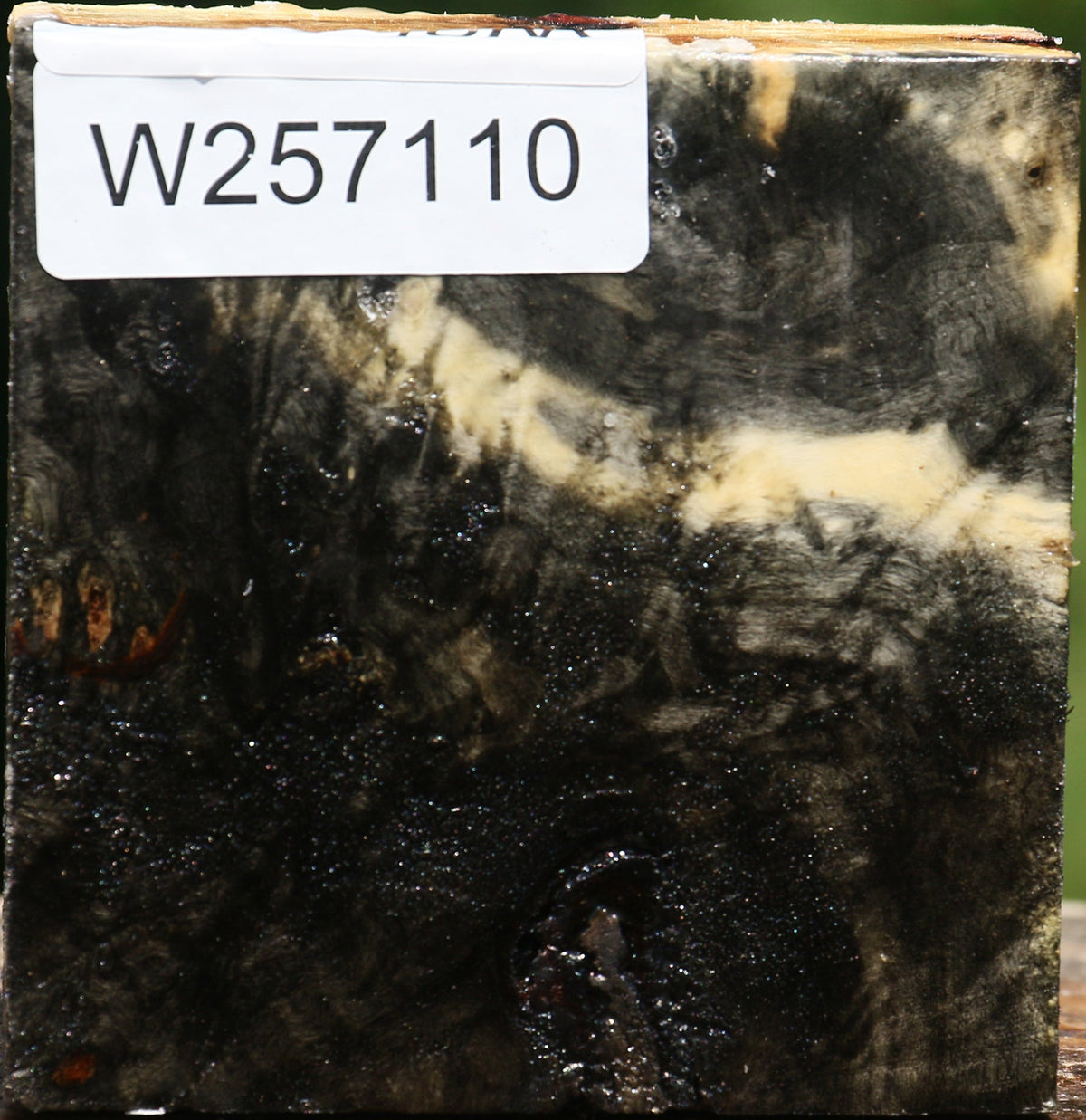 Buckeye Burl Bowl Blank