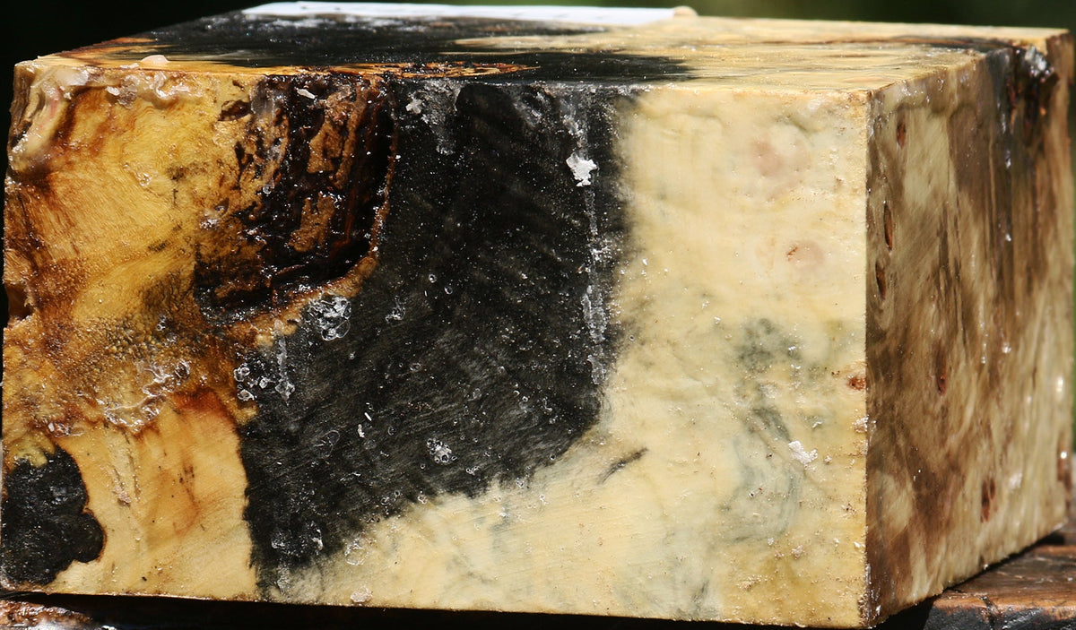 Buckeye Burl Bowl Blank