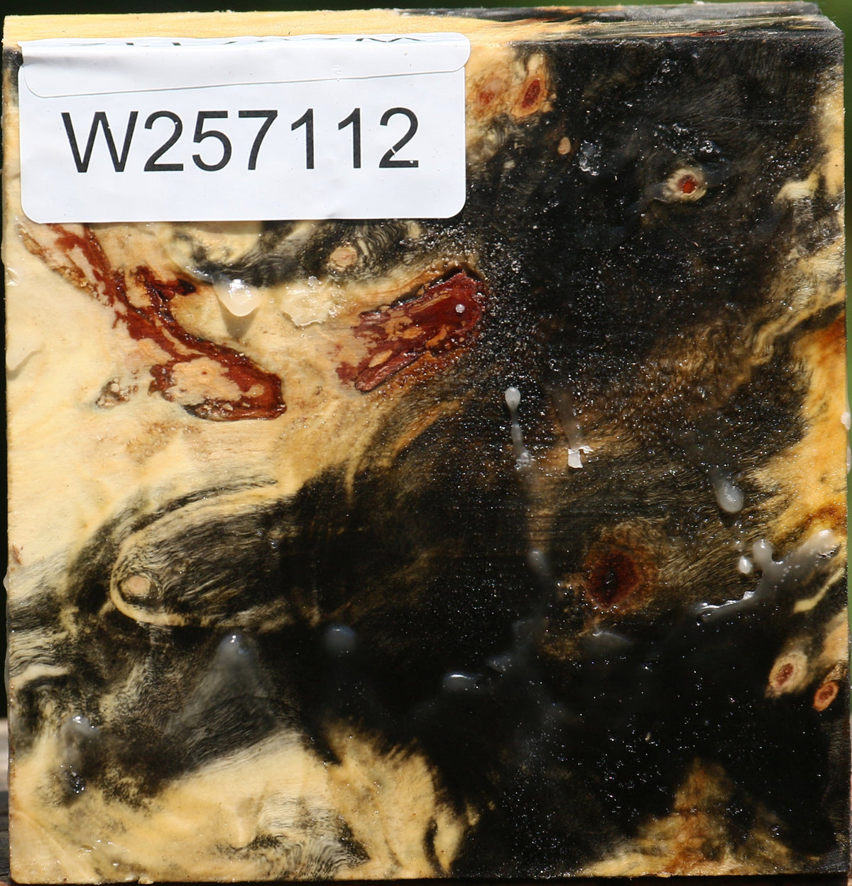 Buckeye Burl Bowl Blank