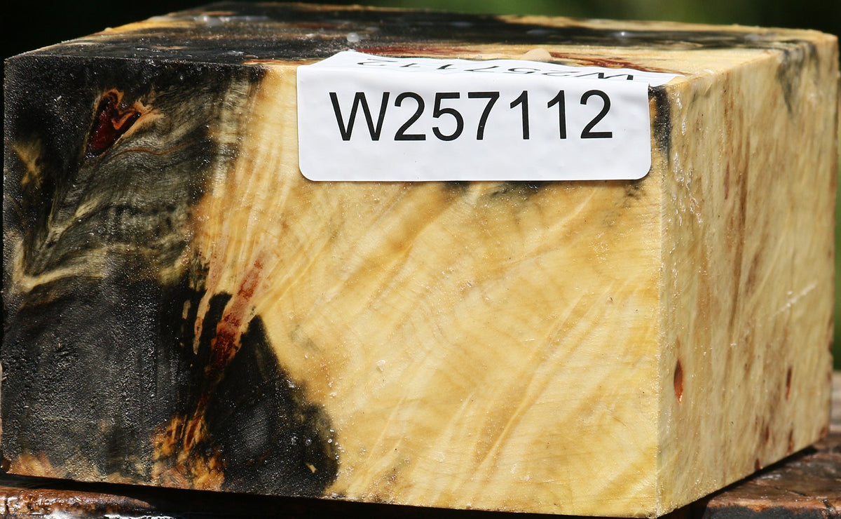 Buckeye Burl Bowl Blank