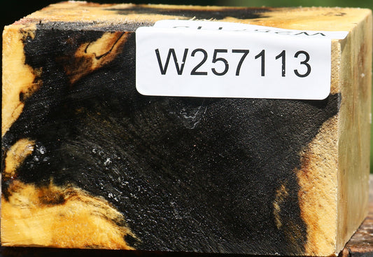 Buckeye Burl Bowl Blank