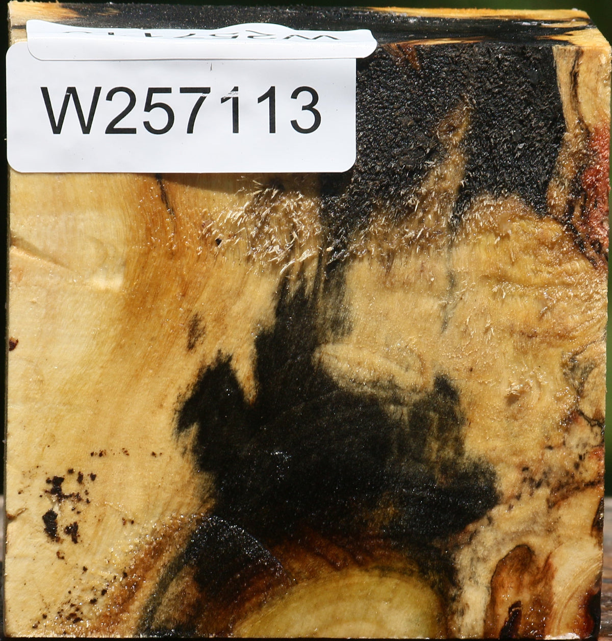 Buckeye Burl Bowl Blank