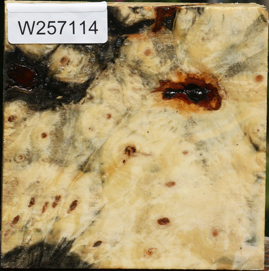 Buckeye Burl Bowl Blank