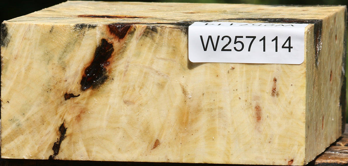 Buckeye Burl Bowl Blank