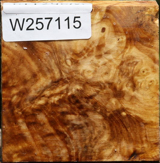 Buckeye Burl Bowl Blank