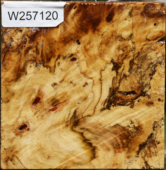 Buckeye Burl Bowl Blank