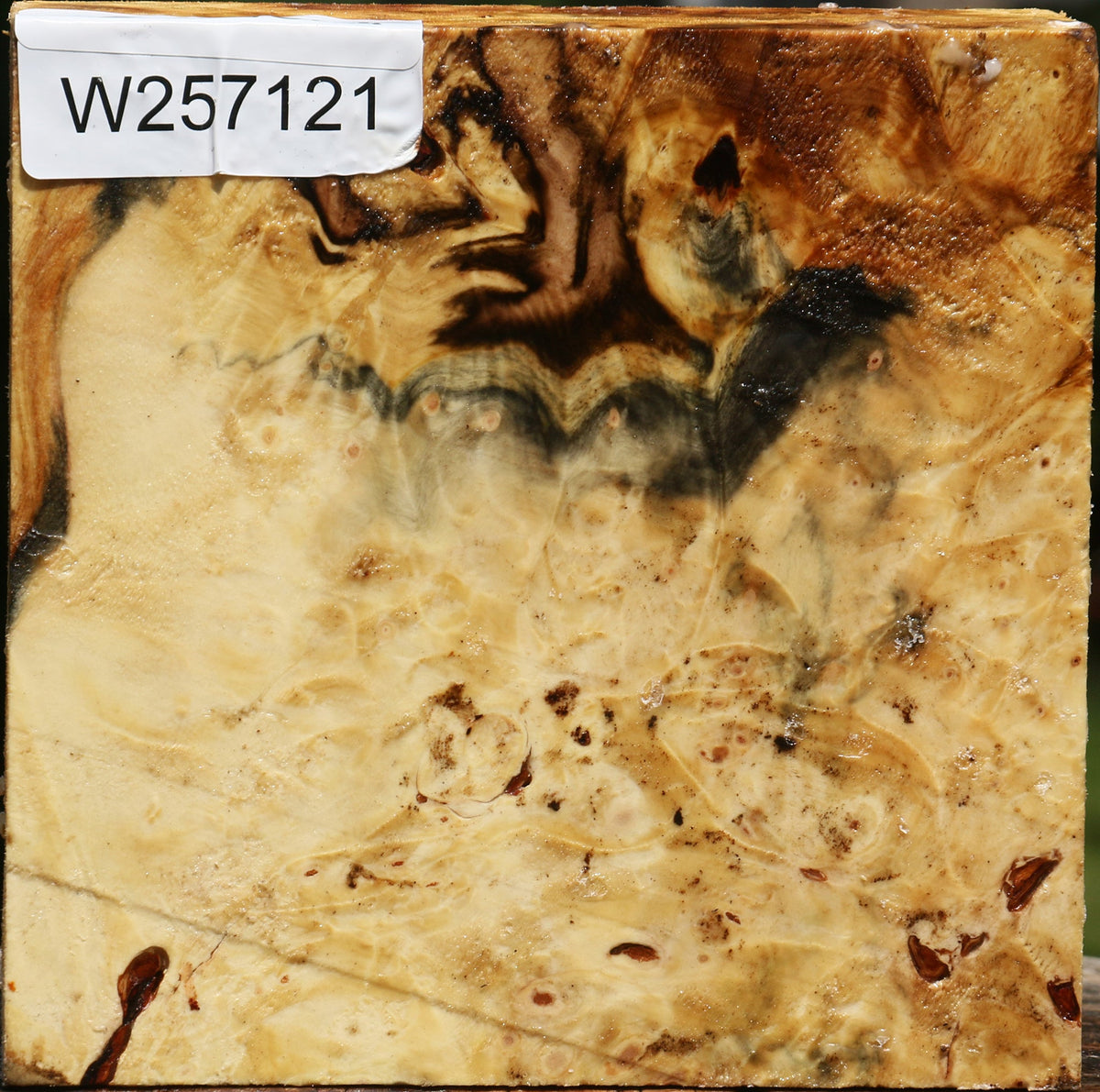 Buckeye Burl Bowl Blank