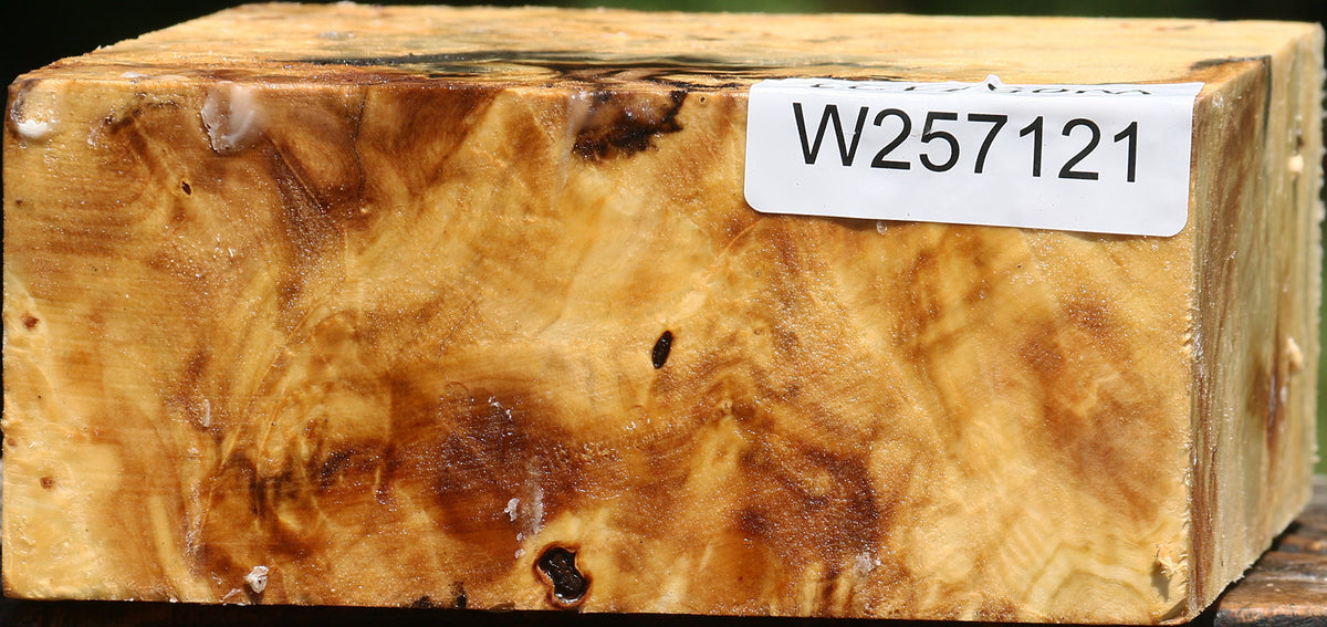 Buckeye Burl Bowl Blank