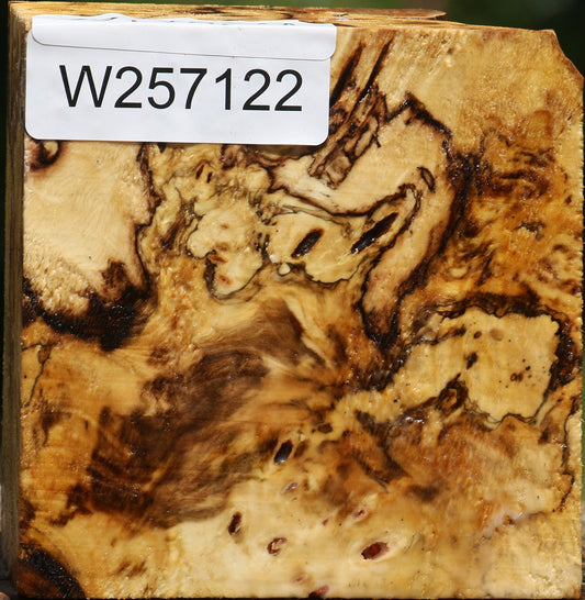 Buckeye Burl Bowl Blank