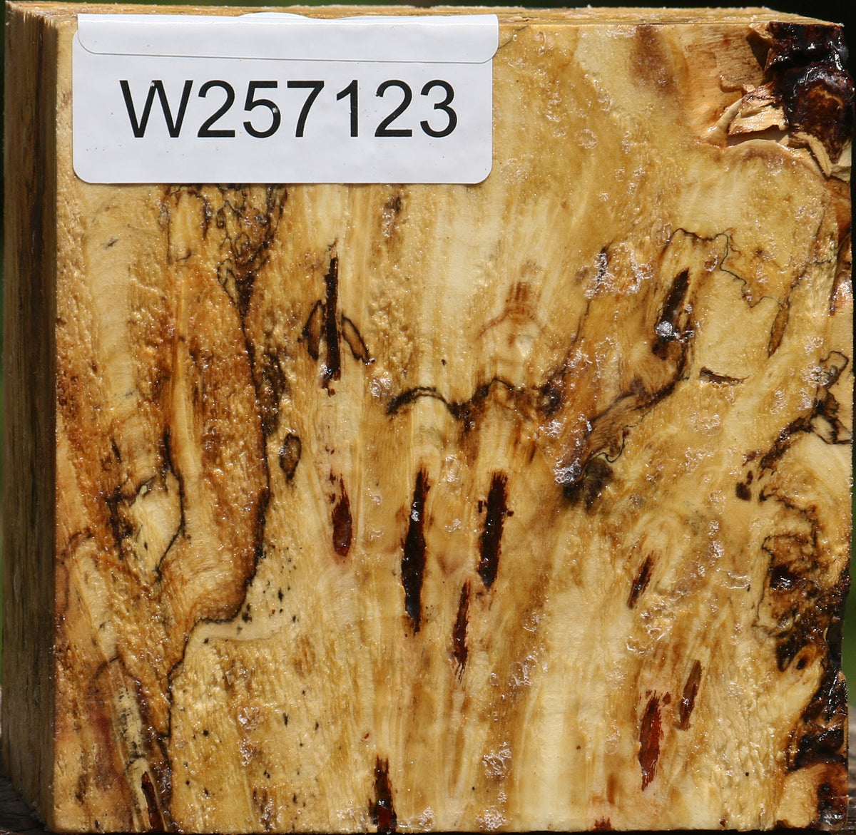 Buckeye Burl Bowl Blank
