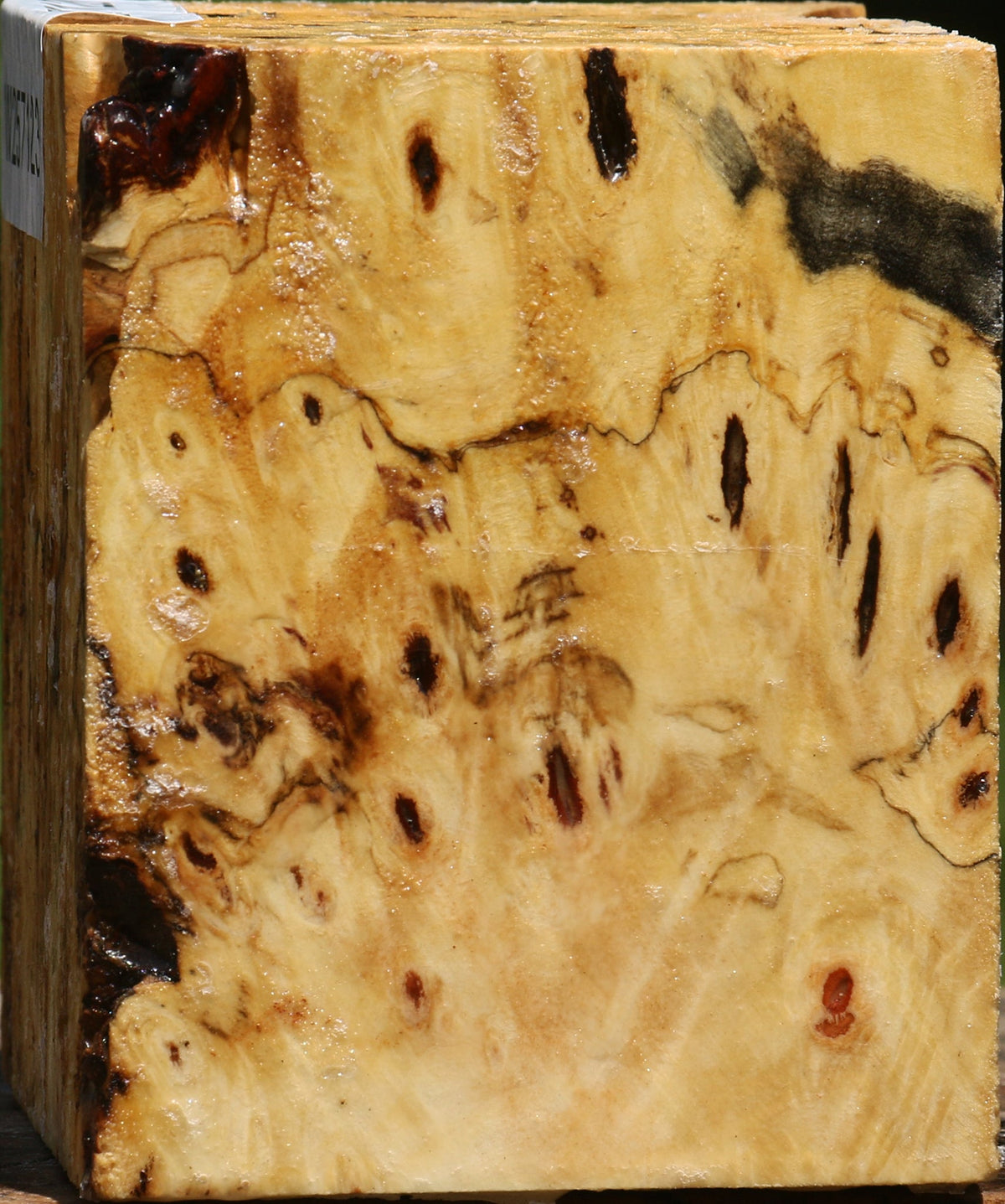 Buckeye Burl Bowl Blank