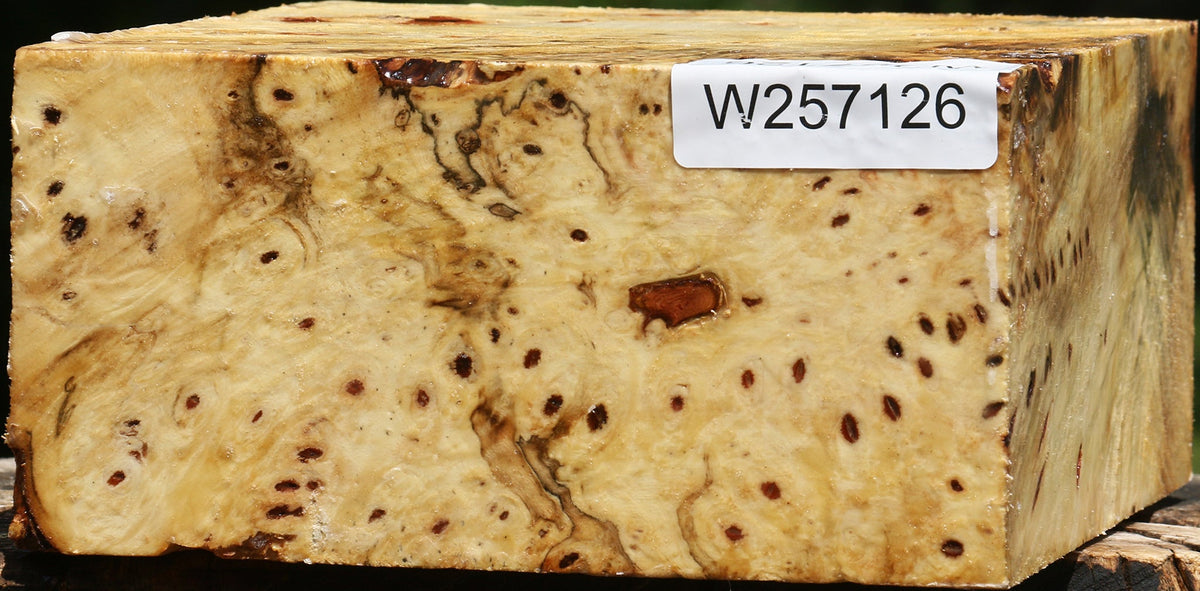 Buckeye Burl Bowl Blank