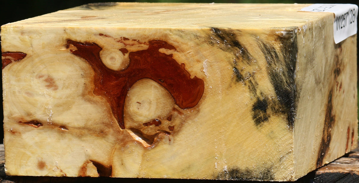 Buckeye Burl Bowl Blank