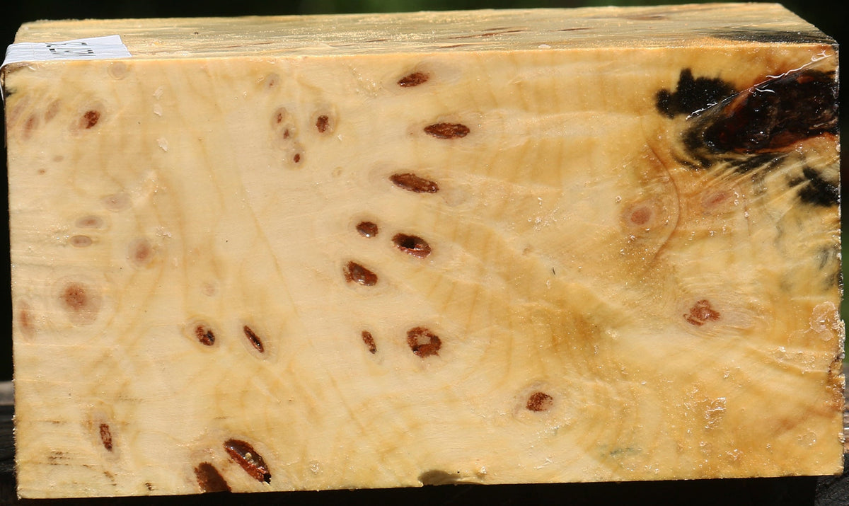Buckeye Burl Bowl Blank
