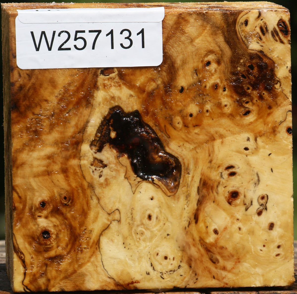 Buckeye Burl Bowl Blank