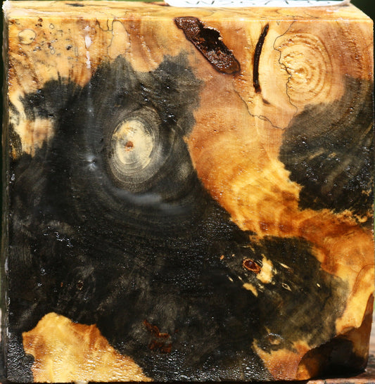 Buckeye Burl Bowl Blank